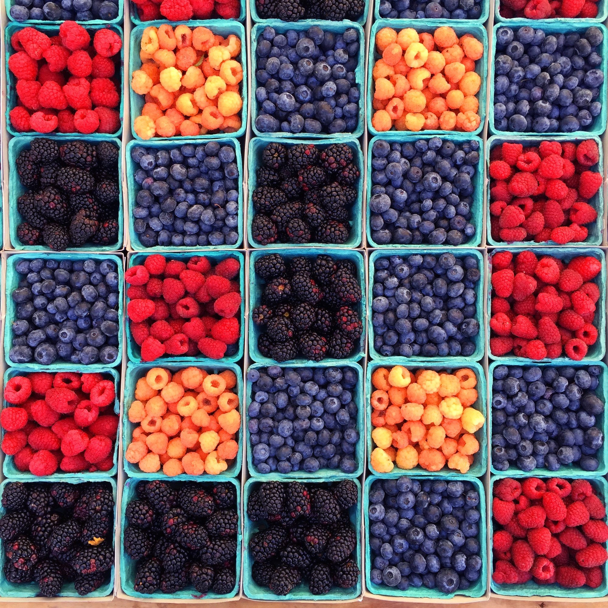 berries2