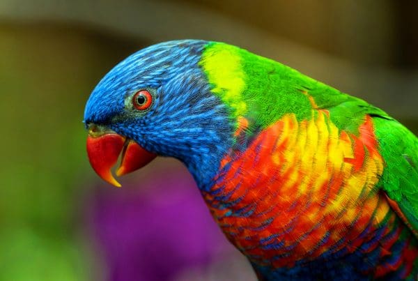 david clode unsplash scaled